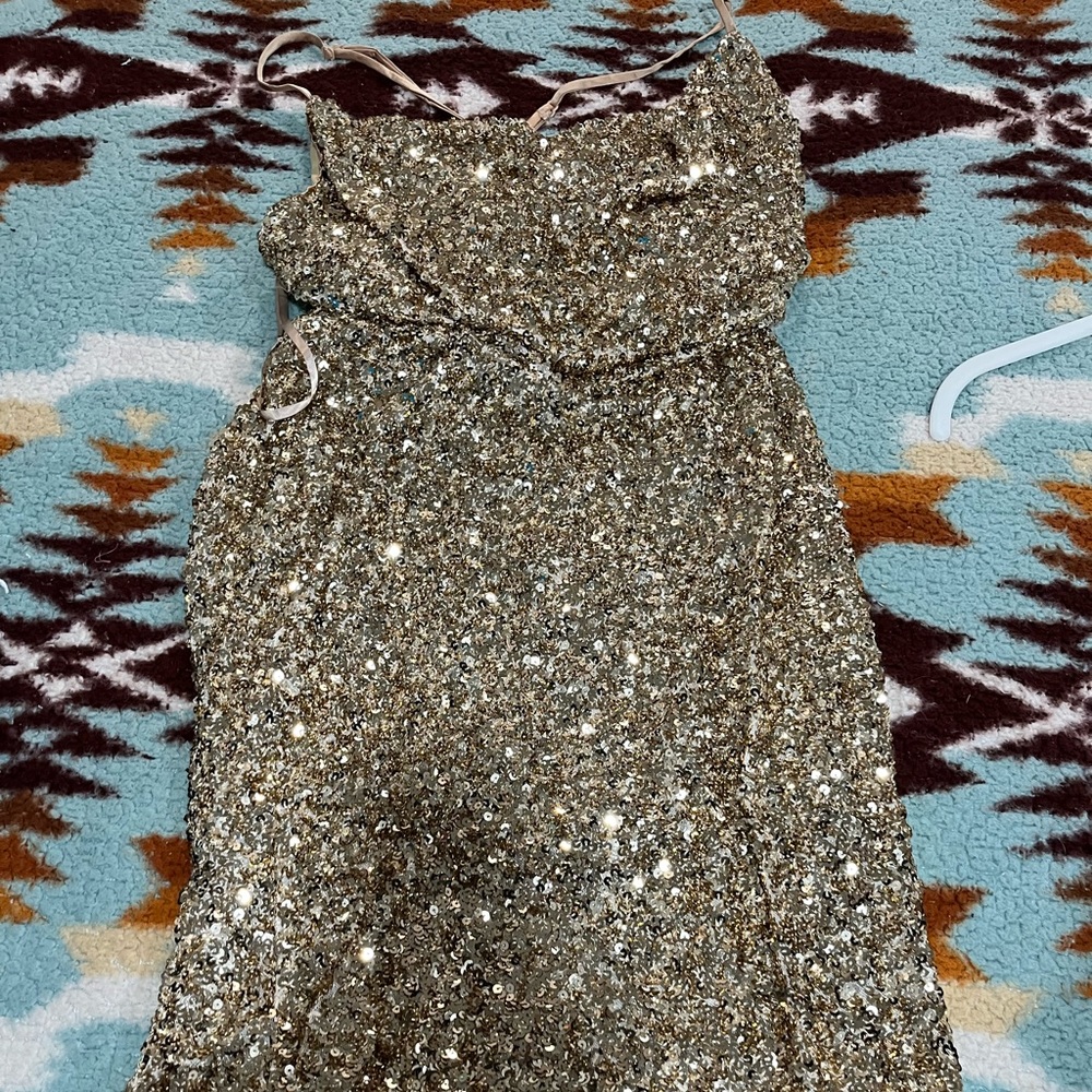 Gold sequin dress.